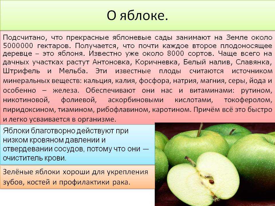 Описание яблони сорта «звёздочка»: характеристики, фото, отзывы садоводов