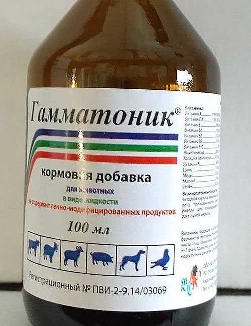 Гамматоник для цыплят: инструкция по использованию