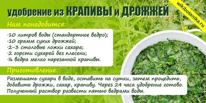 Удобрение капусты при посадке в лунку, для роста (в открытый грунт)
