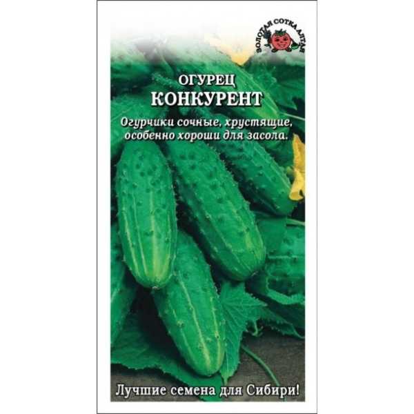 Огурец конкурент: описание, отзывы, фото, посадка и уход