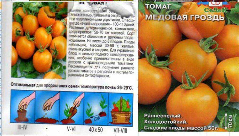 Томат сладкая гроздь описание сорта фото отзывы - аграрный журнал