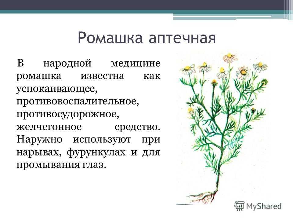 Вы здоровы