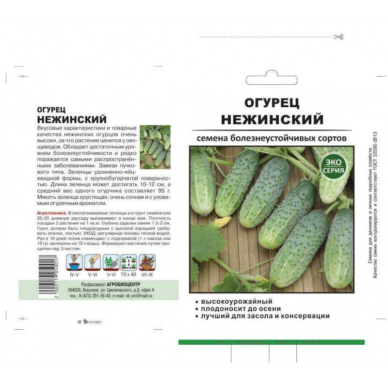 Об огурце Нежинском: описание и характеристики сорта, посадка и уход