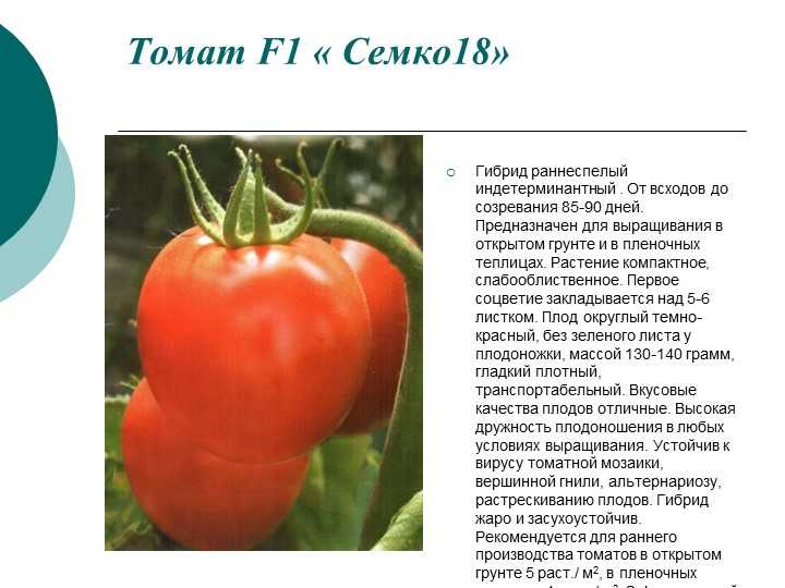 Семко томаты лучшие сорта