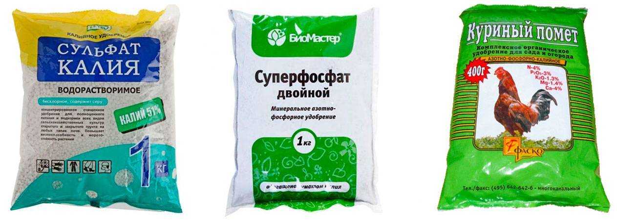 Когда подкармливать помидоры куриным пометом