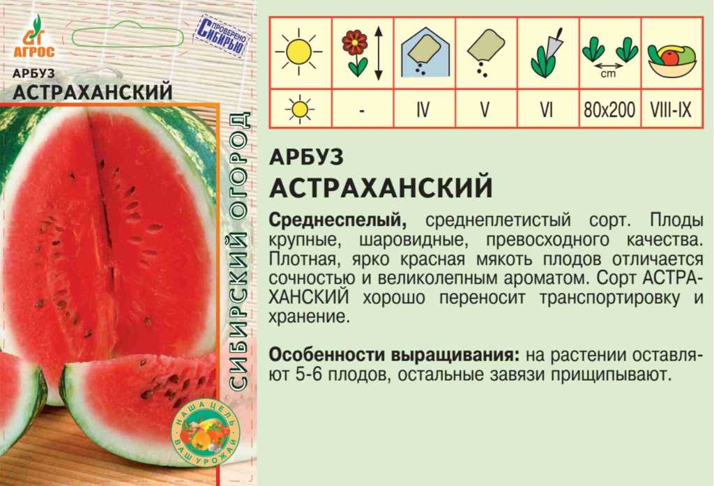 ᐉ арбуз астраханский: описание сорта, фото, выращивание, плюсы и минусы, отзывы - zookovcheg.ru