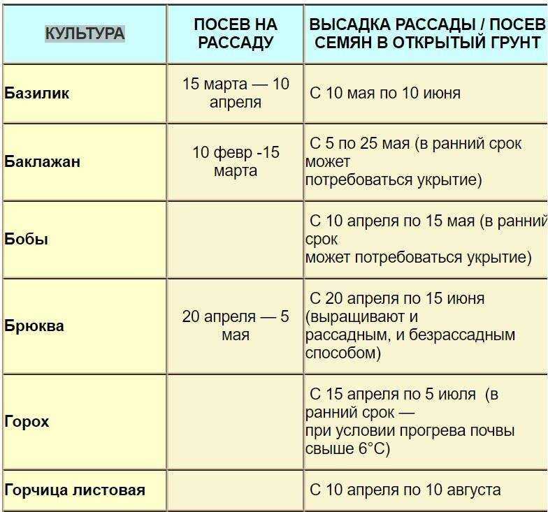 Когда сеять раннюю капусту: лучшие сроки посадки на рассаду и в открытый грунт