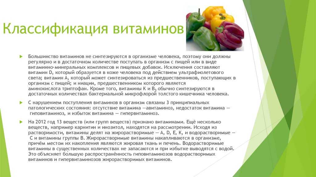 Болезни астры многолетней