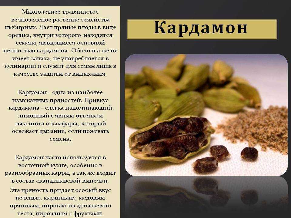 Пажитник, какие у него полезные свойства и противопоказания