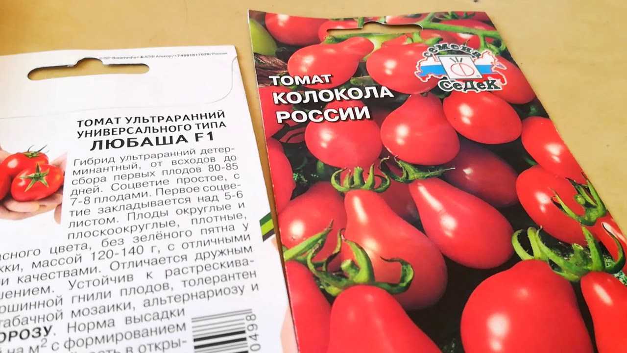 Крупноплодный, розовый томат любимый праздник: полное описание, рекомендации по выращиванию, отзывы