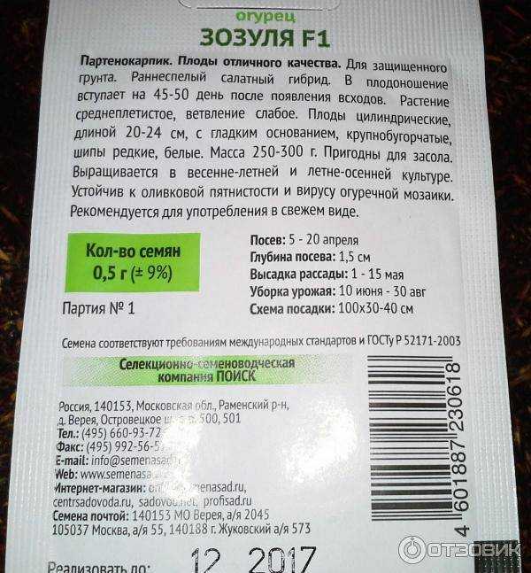 Сорт огурцов зозуля ф1: характеристика и описание, когда сажать на рассаду