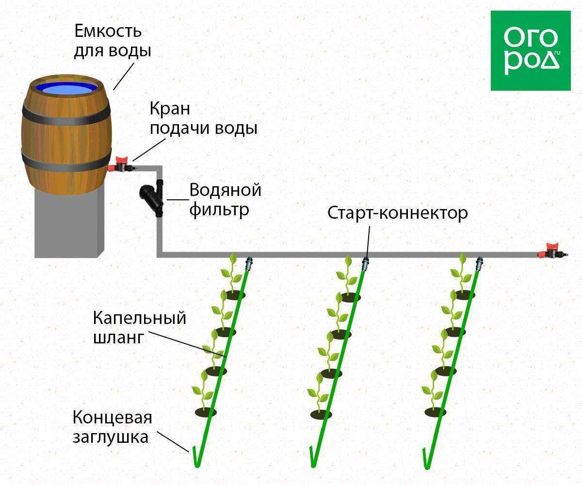 Как сделать капельный полив своими руками: устройство, преимущества + видео | 5domov.ru - статьи о строительстве, ремонте, отделке домов и квартир