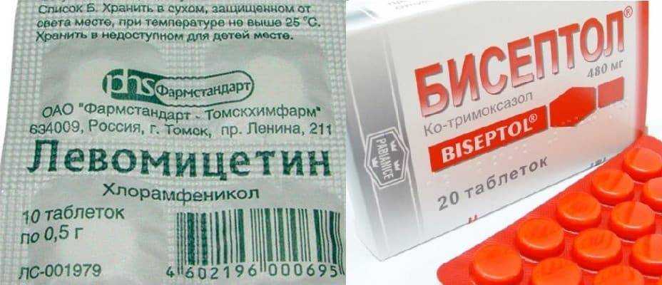 Понос у бройлеров: чем лечить в домашних условиях, причины недуга