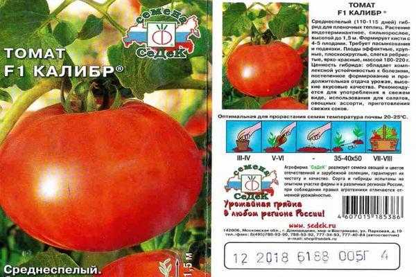 Томат детская радость отзывы фото кто сажал