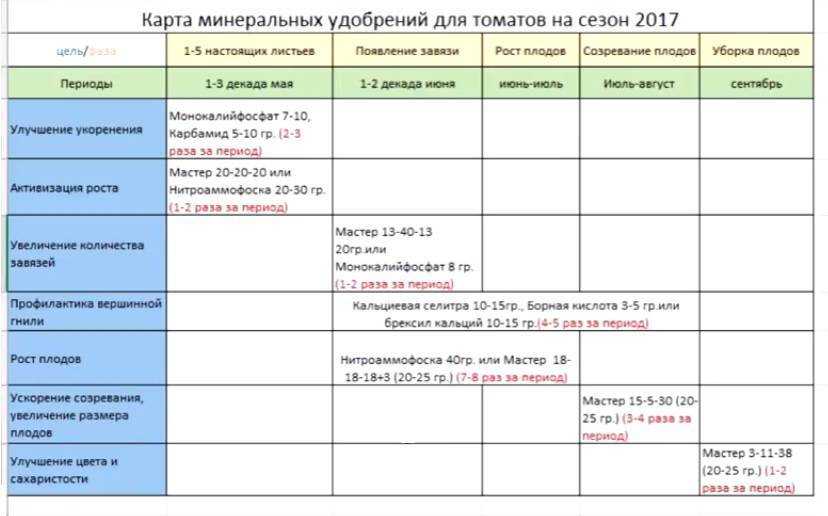Чем подкормить помидоры после высадки в открытый грунт в 2023: сроки, лучшие средства