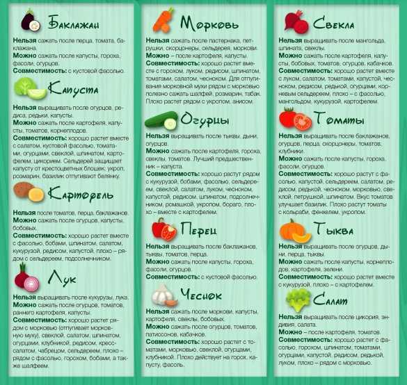 Какие растения совмещаются, что рядом с чем можно сажать