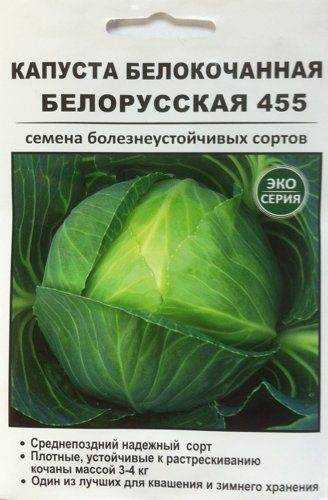 Капуста белорусская: описание сорта, фото и отзывы
