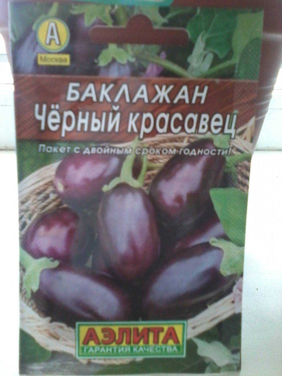 Баклажан черный красавец - описание сорта, фото, отзывы