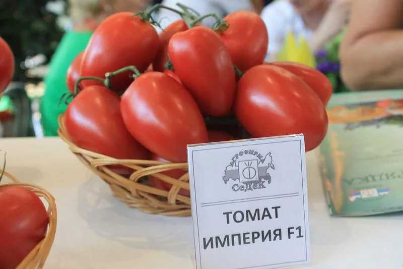 Томат малиновая империя f1: характеристика и описание сорта от фирмы партнер, отзывы об урожайности помидоров, видео и фото семян