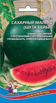 Как выращивать и какими удобрениями подкармливать арбуз шуга бейби?