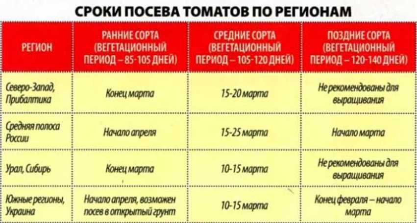 На какую глубину высаживать рассаду томатов в открытый грунт