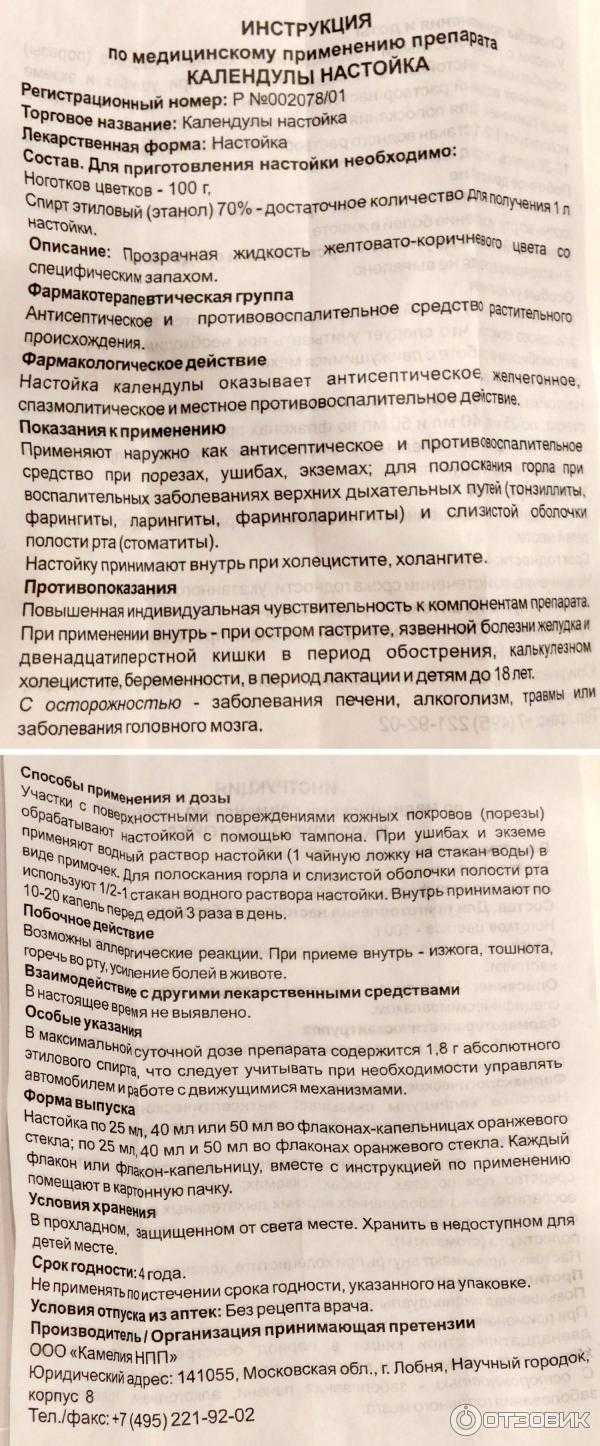 Календула: как выглядит, где растет, описание - sadovnikam.ru