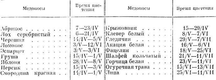 Медоносные растения для пчел