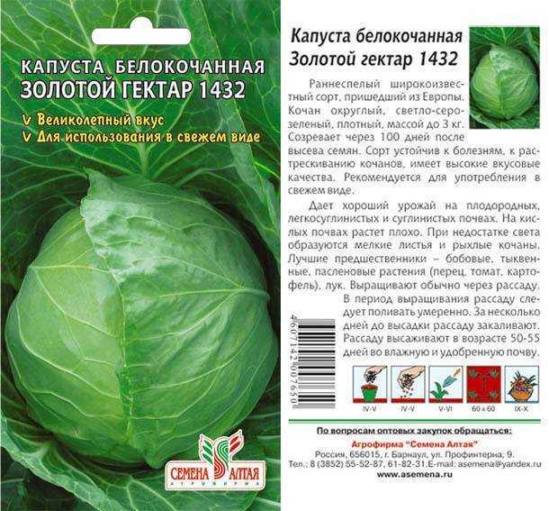 Капуста золотой гектар 1432: описание сорта, посадка, уход, фото, отзывы