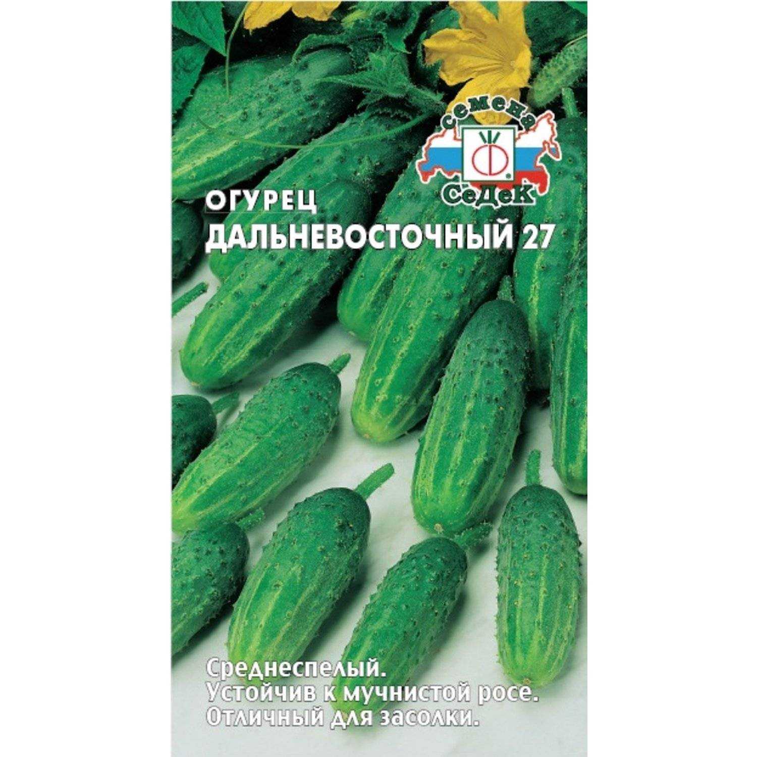 Огурец дальневосточный 27: характеристика и описание, выращивание и уход за сортом