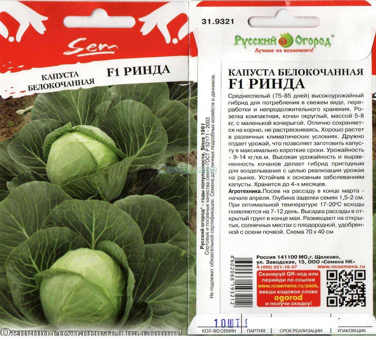 Капуста ринда – описание сорта, фото, отзывы