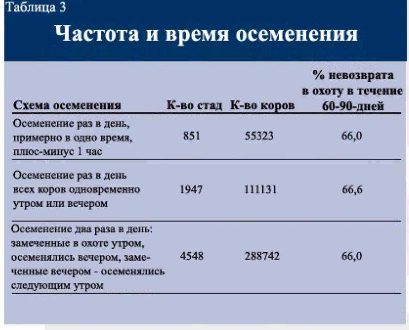 Осложнения после отела коровы | задержание последа коровы после отела | лечение осложнений после отела