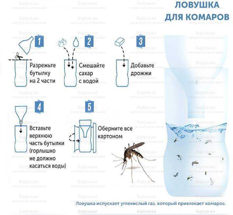 Способы самостоятельного уничтожения пчел