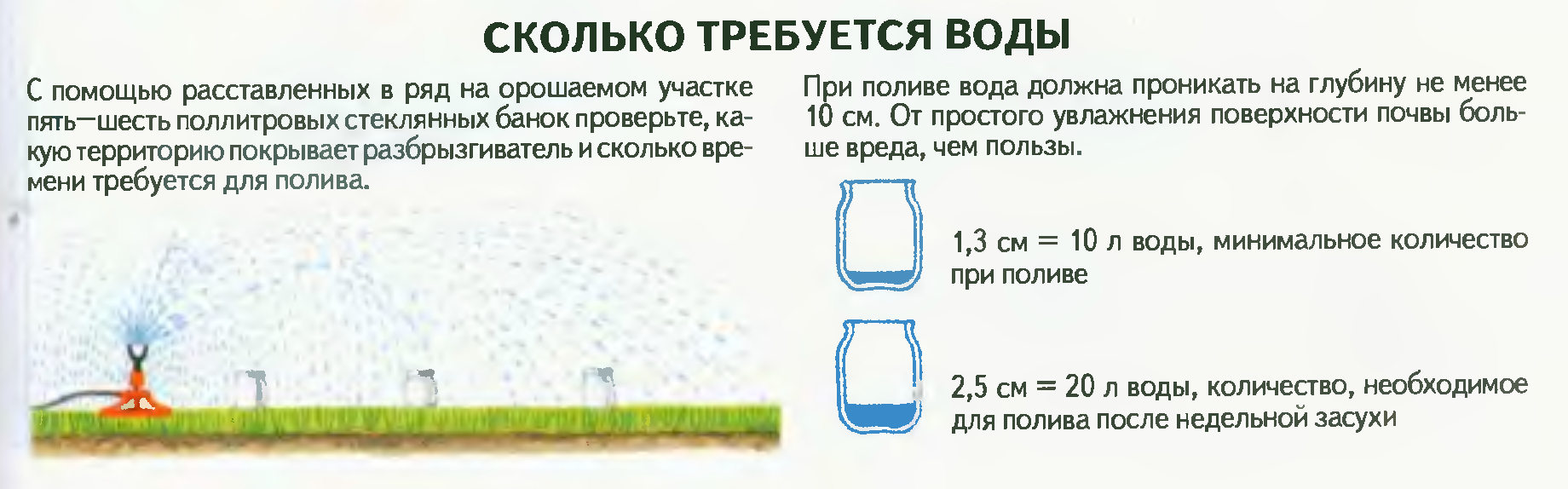 Как правильно поливать газон: схемы и нормы, расход воды, оборудование