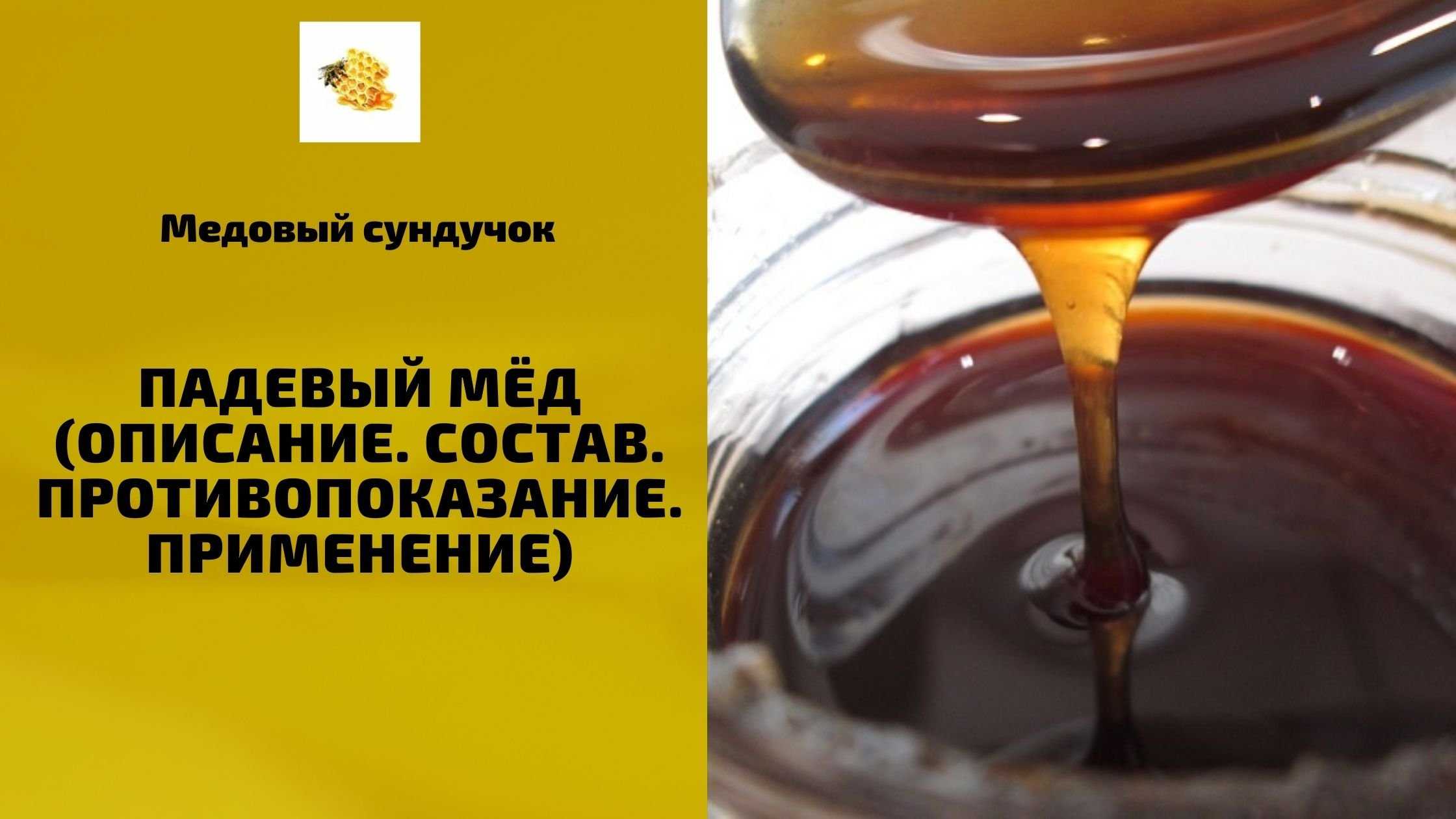Падевый мед - что это такое, как определить, его польза и вред + фото