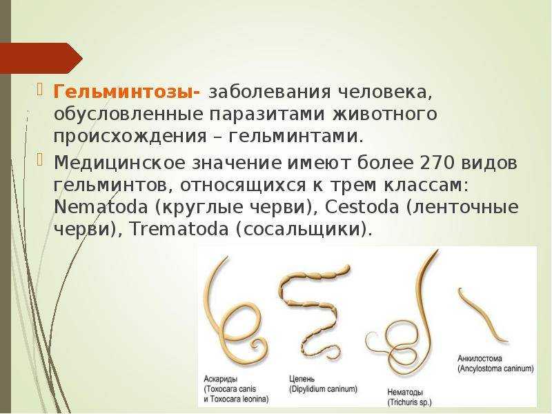 Чем пропоить кроликов от глистов: лекарства и народные средства
чем пропоить кроликов от глистов: лекарства и народные средства