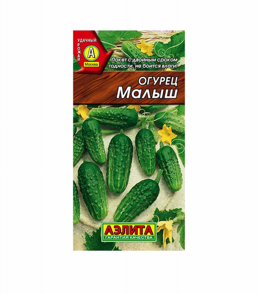 Огурец малыш: характеристика и описание сорта, отзывы