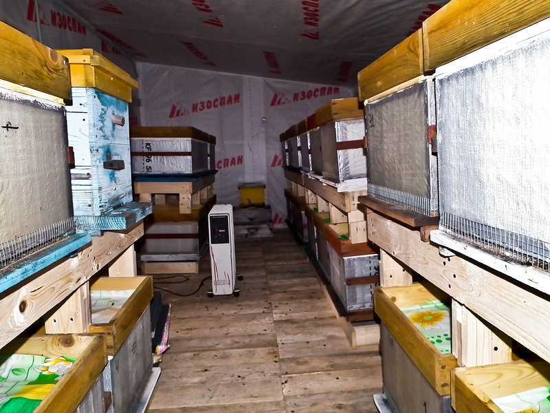 Омшаник для пчёл: назначение, виды и изготовление