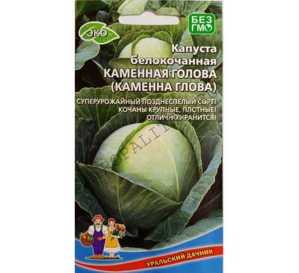 Поздняя капуста сахарная голова: описание, фото, отзывы