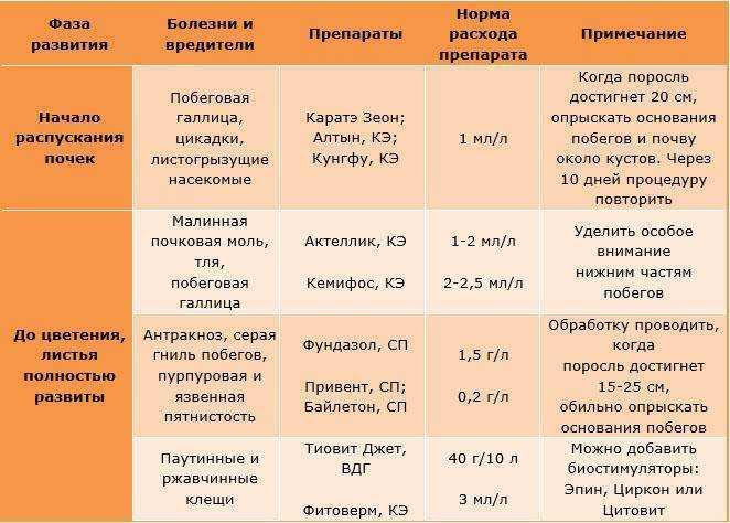 Уход за малиной весной - советы бывалых садоводов