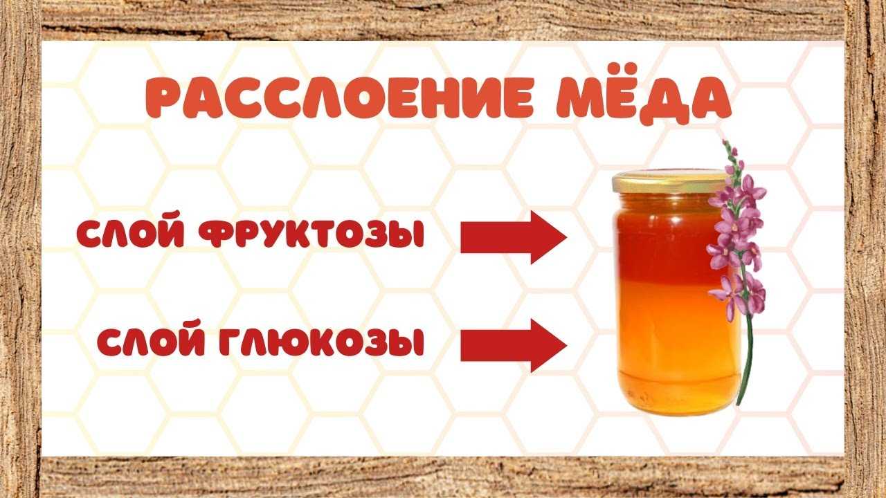 Как хранить мёд, почему расслаивается мёд
