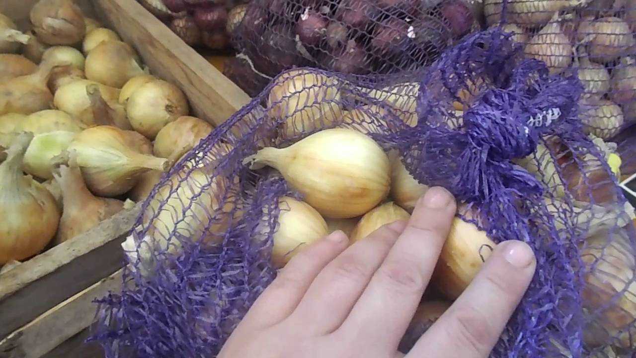 Сберечь до весны — хранение выращенного и покупного лука-севка: секреты и рекомендации опытных дачников
