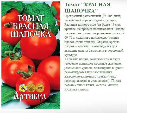 Томат шеди леди: характеристика и описание гибридного детерминантного сорта с фото