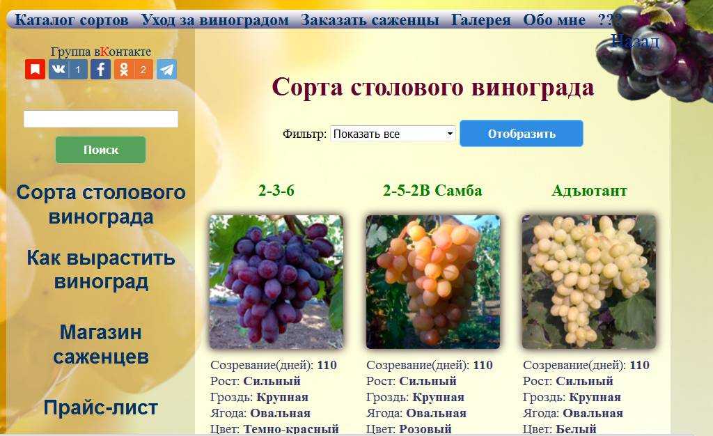 Морозостойкие сорта винограда для подмосковья и средней полосы россии