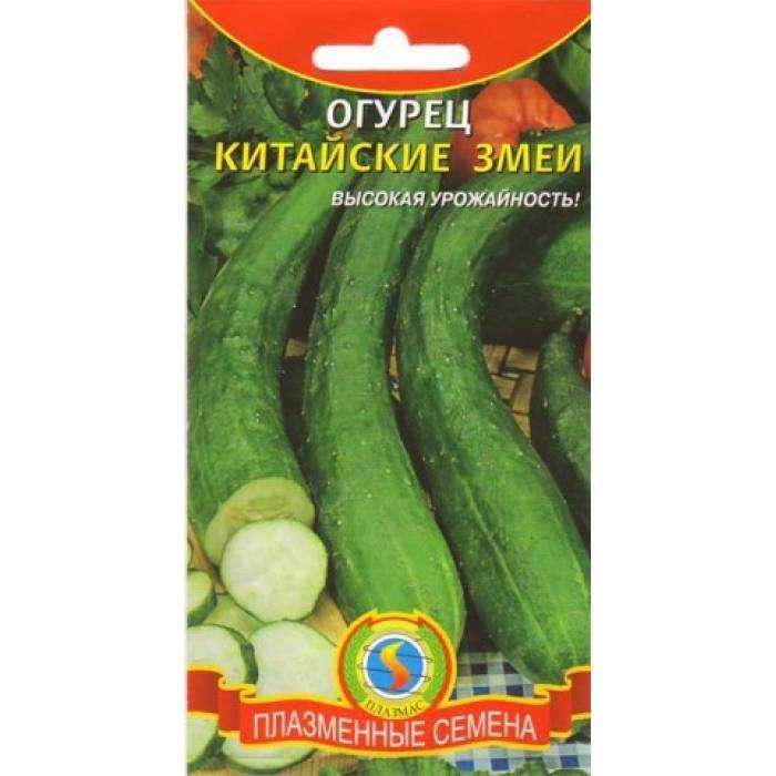Огурец китайский змей: описание сорта, выращивание, отзывы и фото