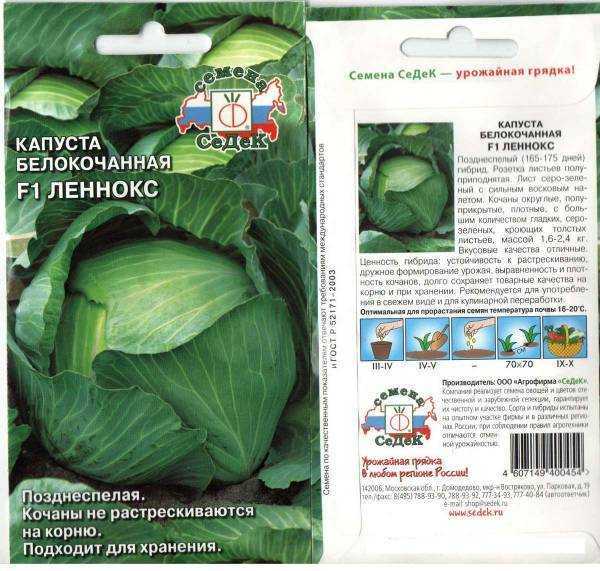 Характеристика капусты харрикейн