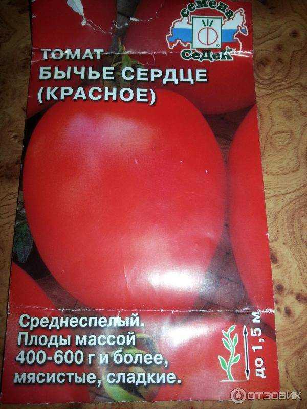 О томате Бычье сердце: описание и характеристики сорта, уход и выращивание