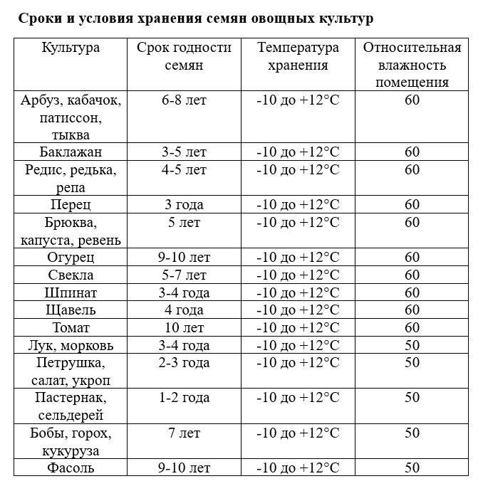 Посадка моркови: когда и как сажать в открытый грунт, пошаговые инструкции