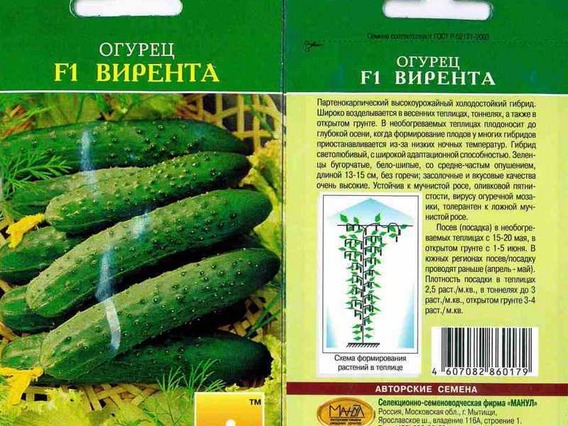 Лучшие сорта огурцов - фото, названия и описания (каталог)