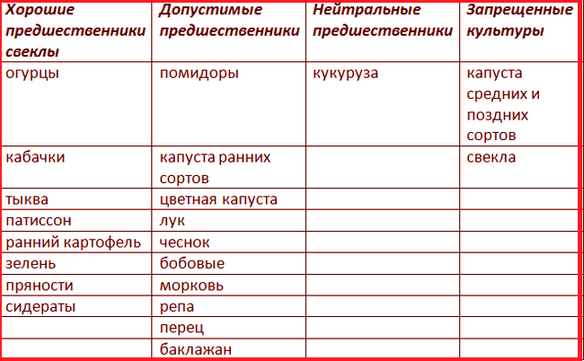 Что сажать после свеклы на следующий год, после каких культур можно ее выращивать, какие овощи лучше размещать рядом с ней на одной грядке, а также таблица растений