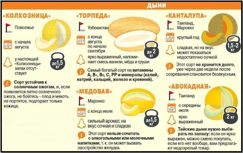 Дыня фрукт или ягода, польза и вред для организма